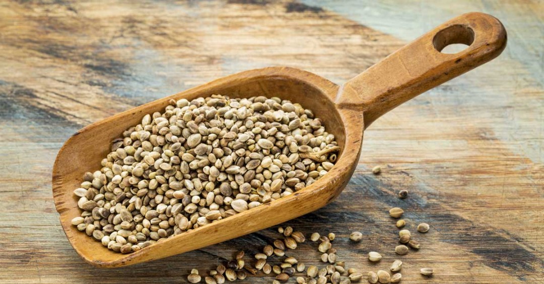 hempseeds