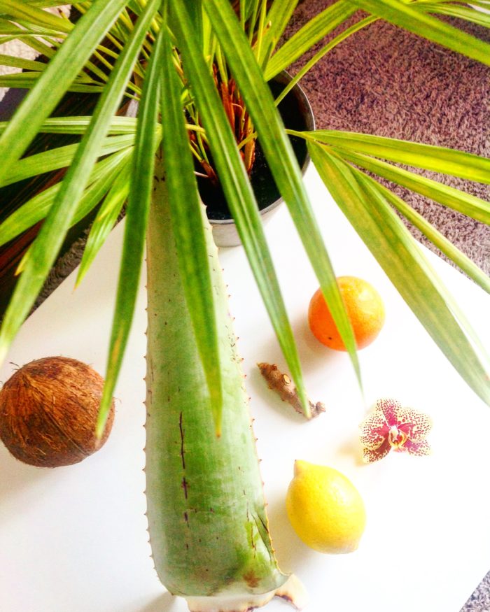 Jus Coco & Cie pour faire le plein d’énergie