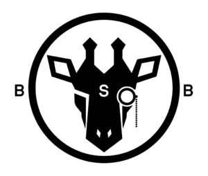 BSB-2