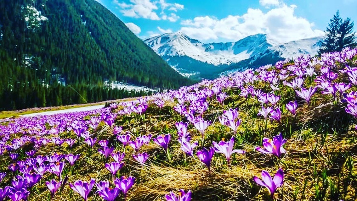 Yoga Retreat in Tatra Mountains 18/19/20 May