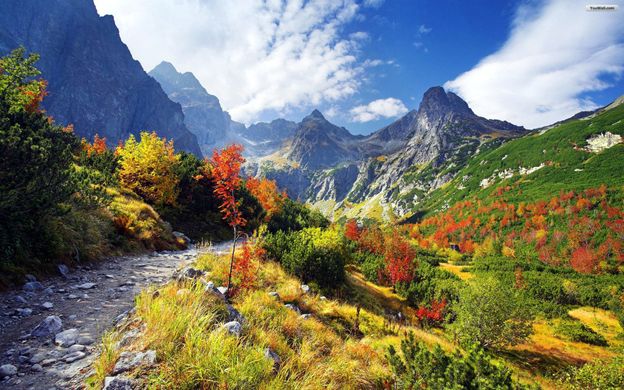 Yoga Retreat in Tatra Mountains 19/20/21 October