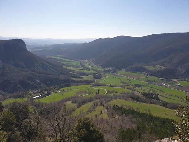 vue joy