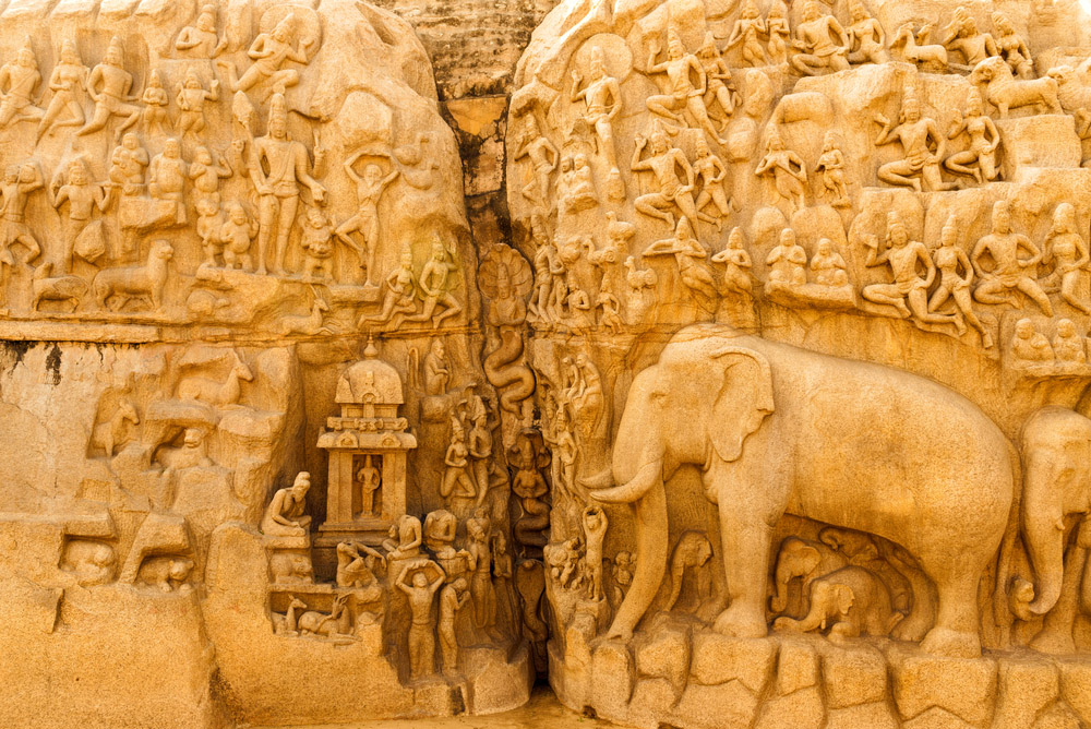elephant_bonheur_taille